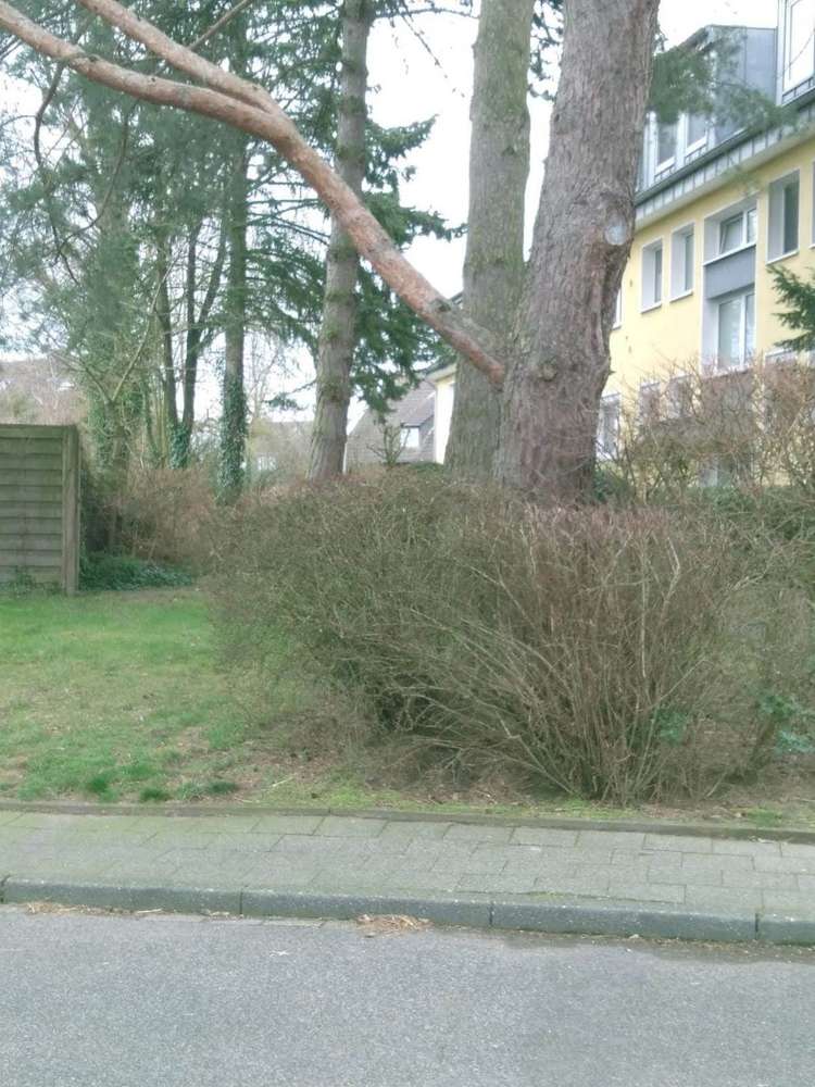 Giftköder-Salamiwürste mit Rasierklingen gespickt-Profilbild