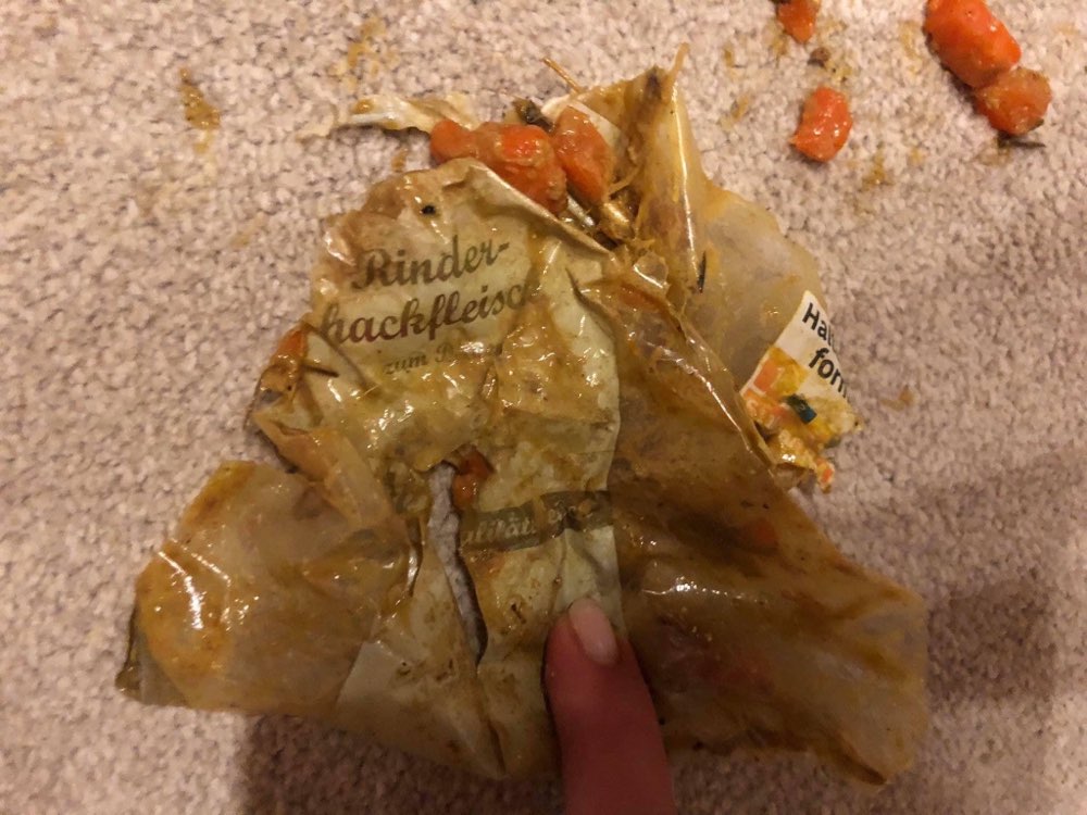 Giftköder-Giftköder-Profilbild