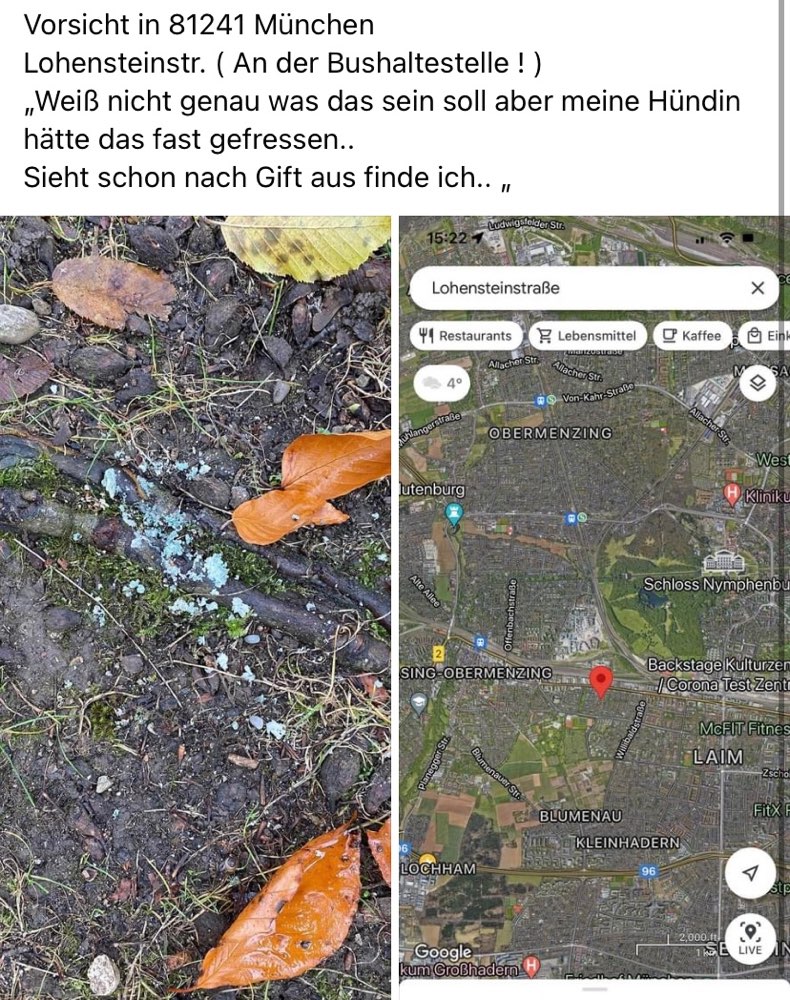 Giftköder-Mögliches Rattengift-Profilbild