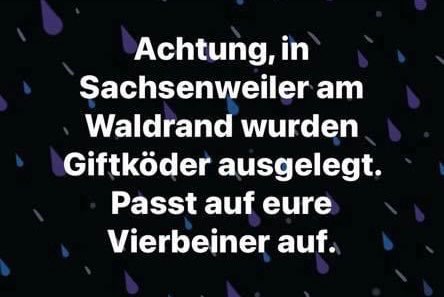 Giftköder-Giftköder-Profilbild
