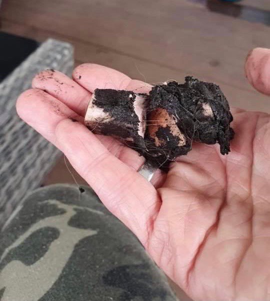 Giftköder-Giftköder im Garten-Profilbild