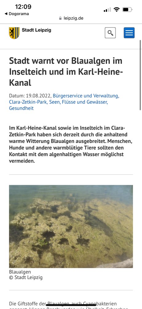 Giftköder-Blaualgen im Karl Heine Kanal-Profilbild