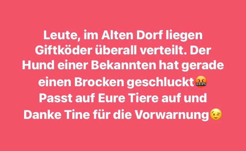 Giftköder-Giftköder-Profilbild