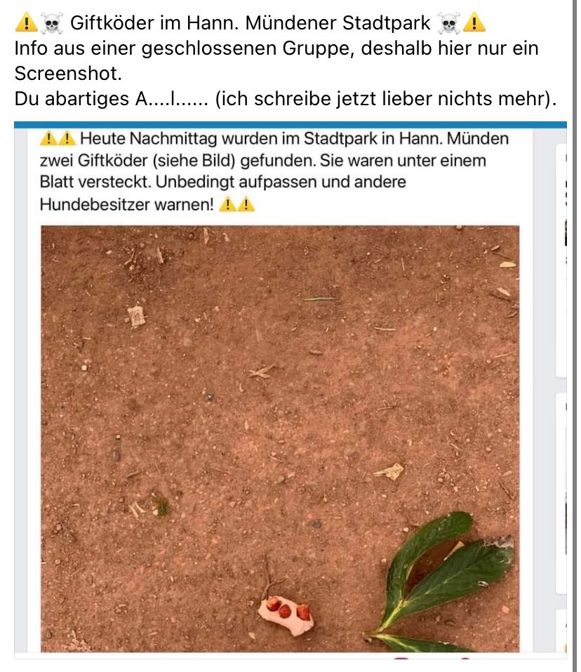 Giftköder-Giftköder-Profilbild