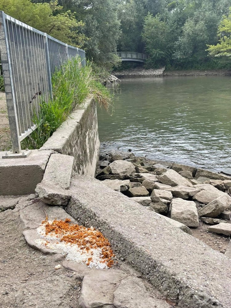 Giftköder-Möglicher Giftköder-Profilbild