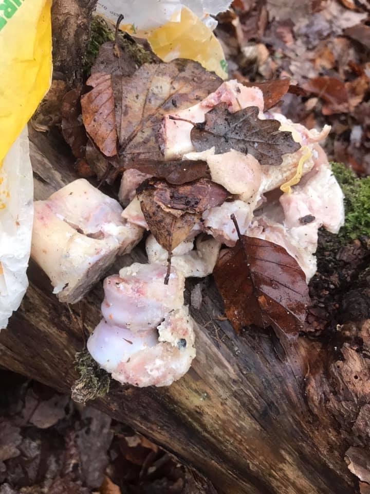 Giftköder-Fleischstücke in Bäckerstüte-Profilbild