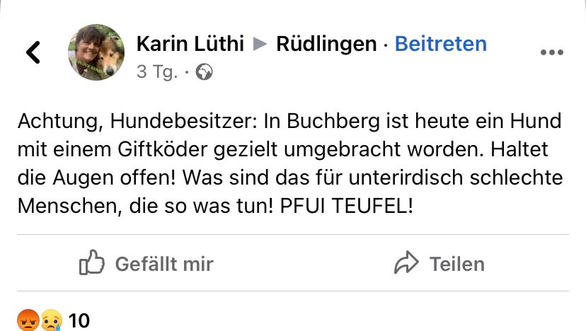 Giftköder-Giftköder - Toter Hund-Profilbild