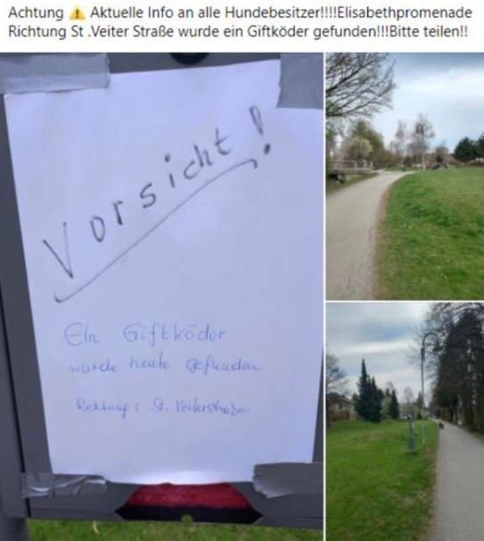 Giftköder-Giftköder-Profilbild