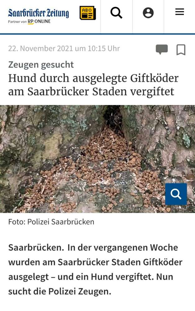 Giftköder-Giftköder-Profilbild