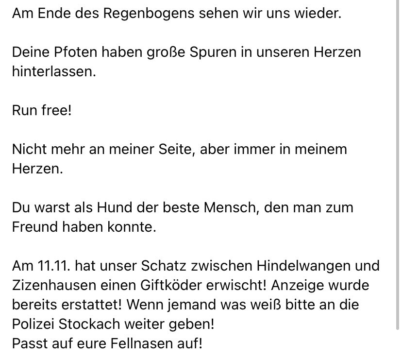 Giftköder-Vergifteter Hund-Profilbild