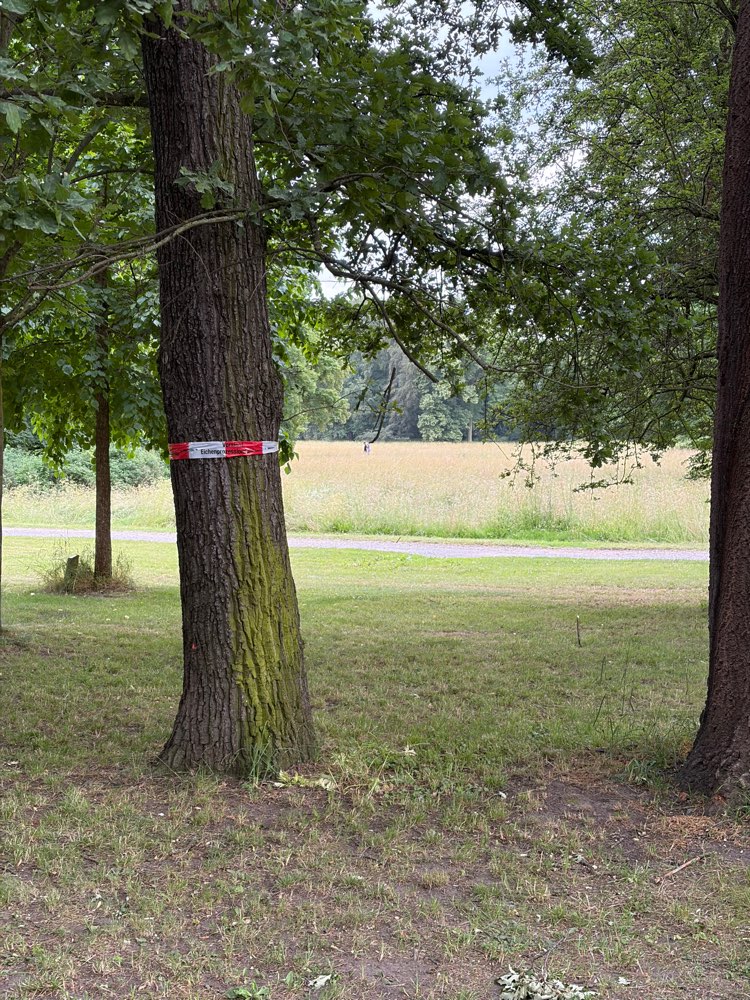 Giftköder-Eichen Prozession Spinner-Profilbild