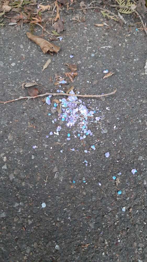 Giftköder-Giftköder (Rattengift)-Profilbild