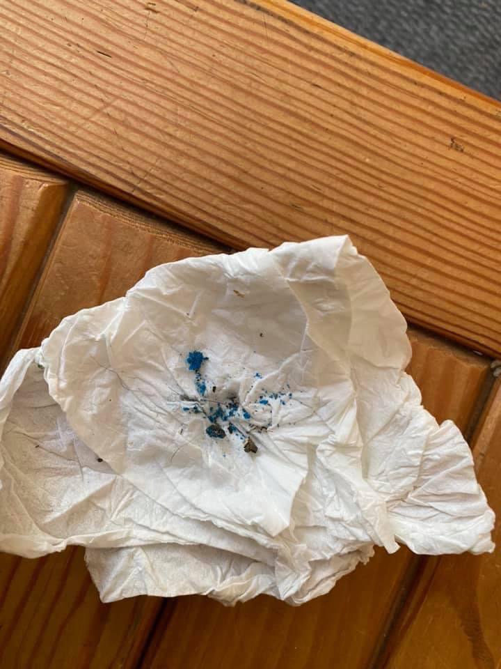 Giftköder-Vermutlich Rattengift/Schneckenkorn-Profilbild