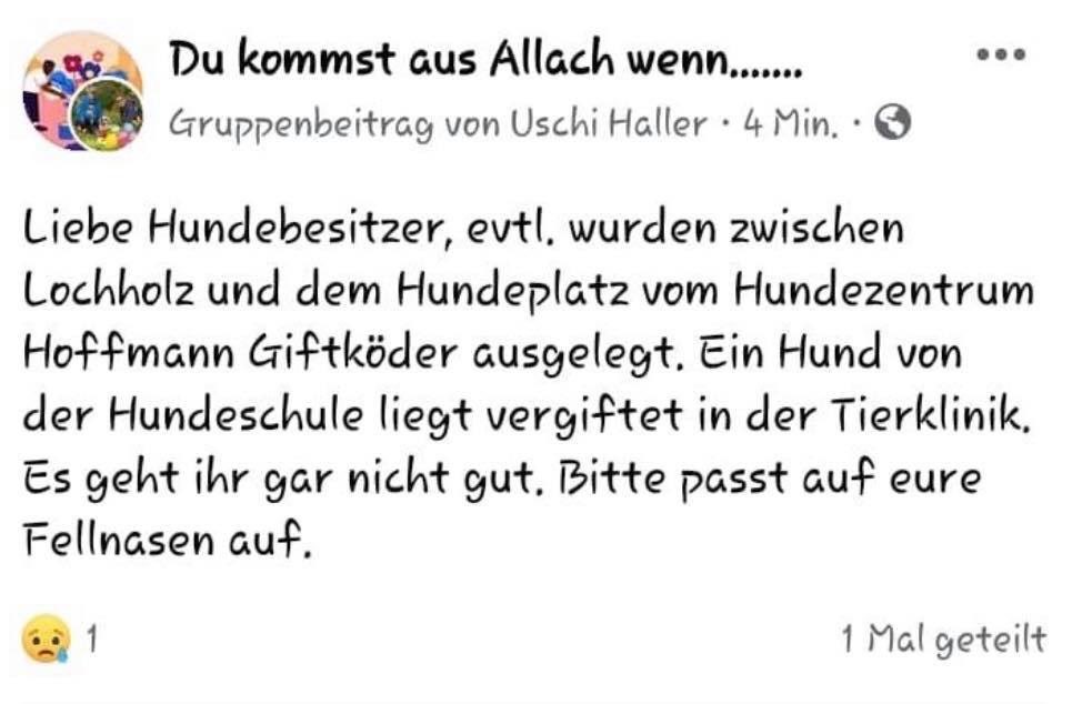 Giftköder-Vergifteter Hund-Profilbild