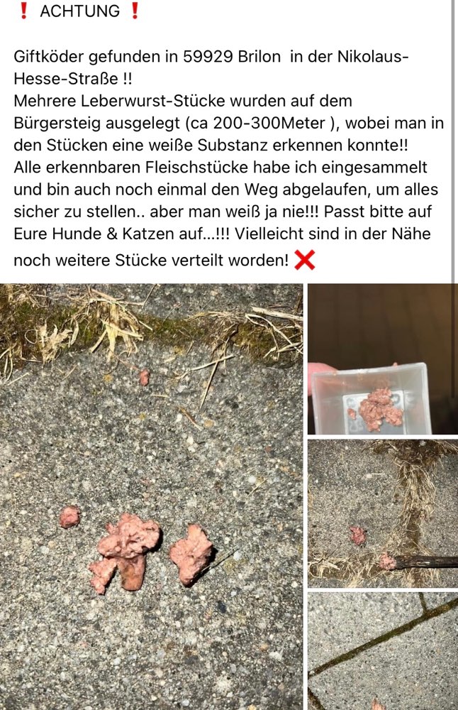 Giftköder-Giftköder-Profilbild