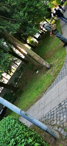 Giftköder-Rattengift Blaue Kügelchen-Profilbild