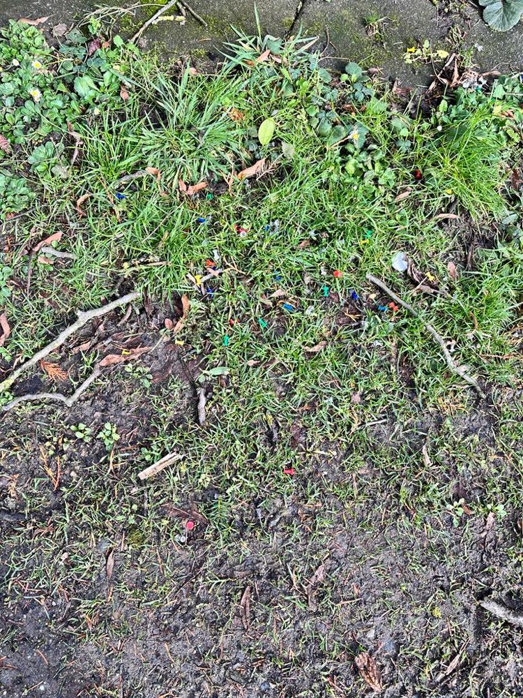 Giftköder-Köder-Profilbild