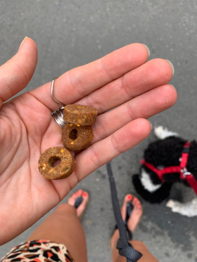 Giftköder-Ausgelegte Lekkerlies am Bornheimer Hang-Profilbild