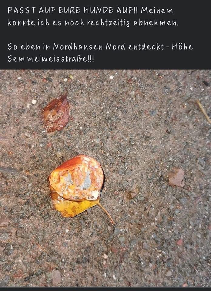 Giftköder-Giftköder-Profilbild