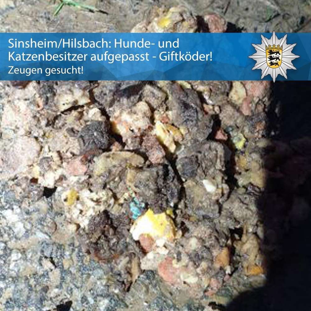 Giftköder-Giftköder-Profilbild