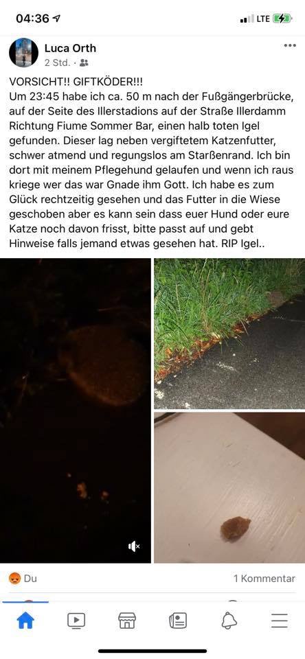 Giftköder-Vergiftetes Katzenfutter - Toter Igel-Profilbild