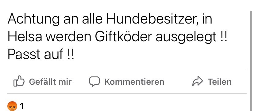 Giftköder-Giftköder-Profilbild