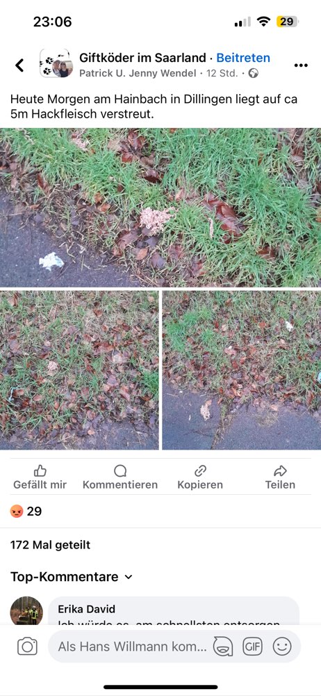 Giftköder-Giftköder-Profilbild