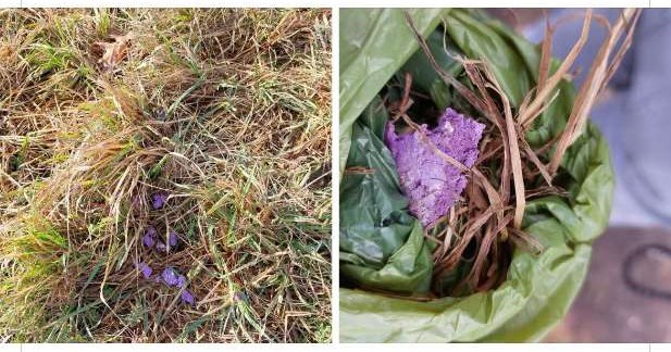 Giftköder-Achtung Giftköder-Profilbild