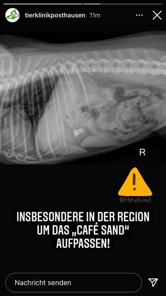 Giftköder-Tierarzt warnt erneut vor Nagelköder-Profilbild