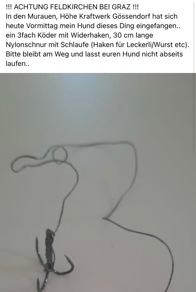 Giftköder-Köder mit Haken-Profilbild