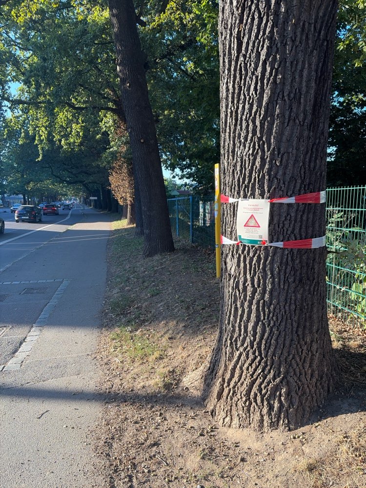 Giftköder-EPS-Profilbild