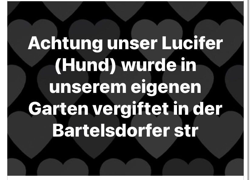 Giftköder-Hund im Garten vergiftet-Profilbild