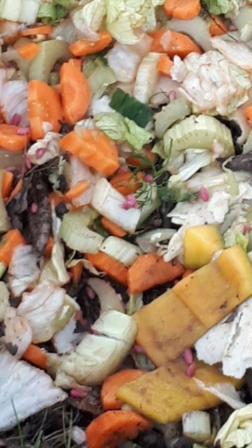 Giftköder-Rattengift-Profilbild