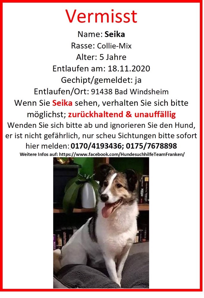 Suchmeldung-Seika-Profilbild