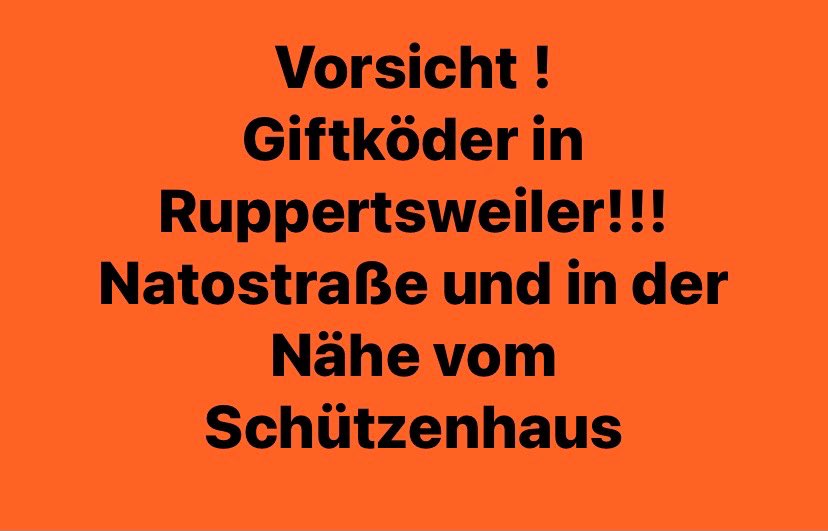 Giftköder-Giftköder-Profilbild
