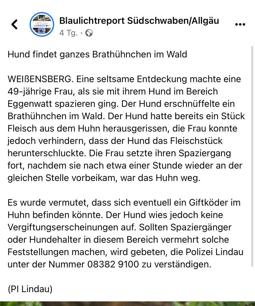 Giftköder-Hund findet ganzes Brathühnchen im Wald-Profilbild