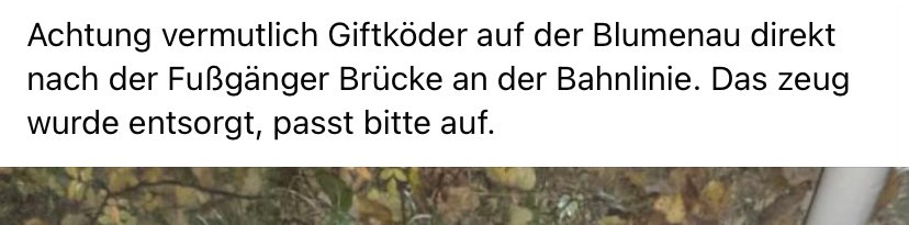Giftköder-Giftköder-Profilbild