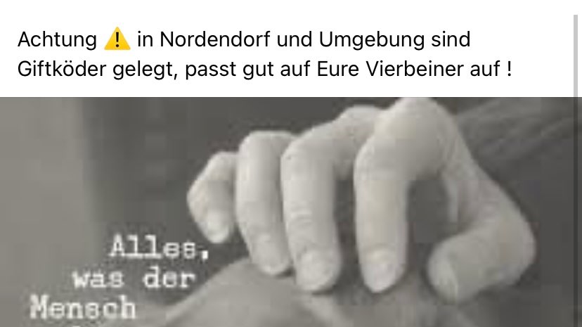 Giftköder-Giftköder-Profilbild