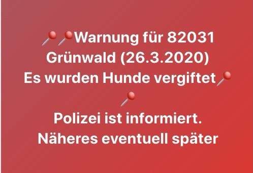 Giftköder-Vergifteter Hund-Profilbild
