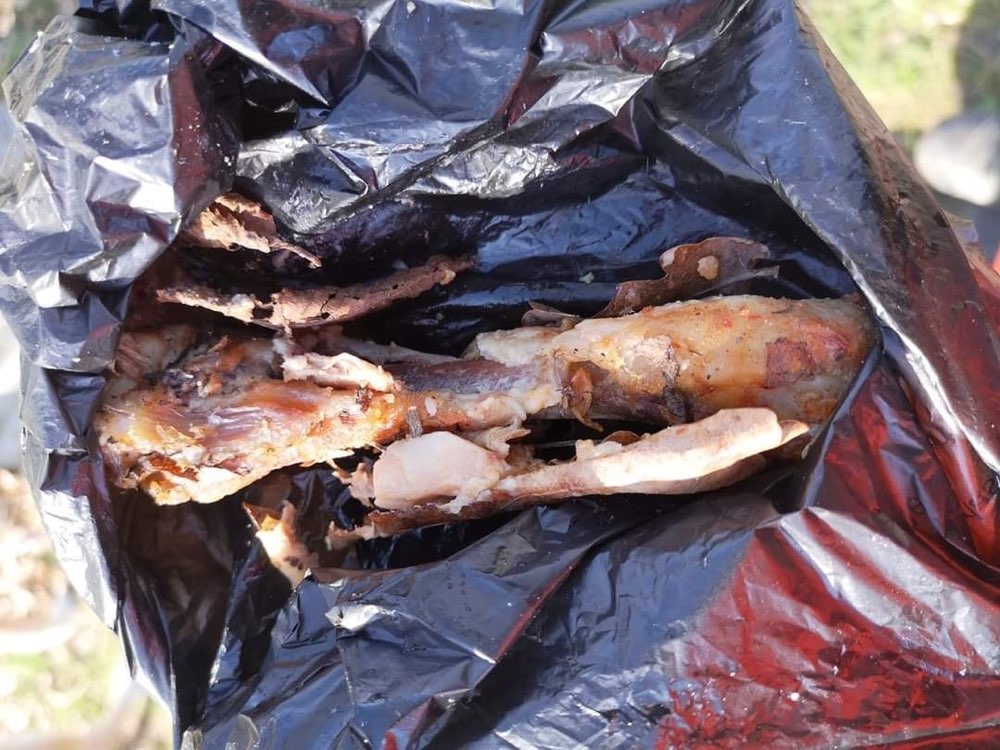 Giftköder-Rippchen-Profilbild