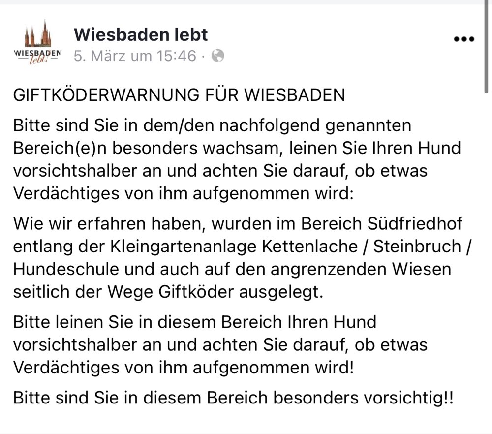Giftköder-Giftköder-Profilbild