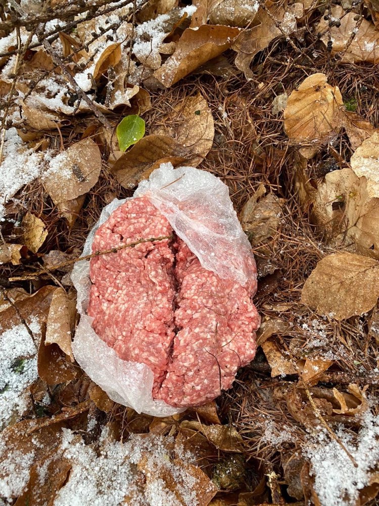 Giftköder-Hackfleisch-Profilbild