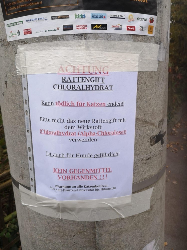 Giftköder-Rattengift-Profilbild