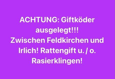 Giftköder-Rattengift-Profilbild