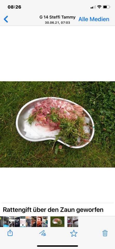 Giftköder-Rattengift in den Garten geworfen-Profilbild