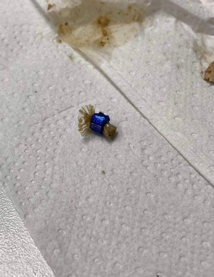 Giftköder-Vergiftete Hündin-Profilbild