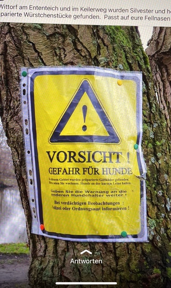 Giftköder-Giftköder-Profilbild