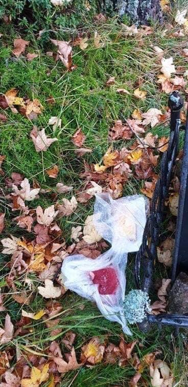 Giftköder-Ausgelegte Fleischstücke-Profilbild