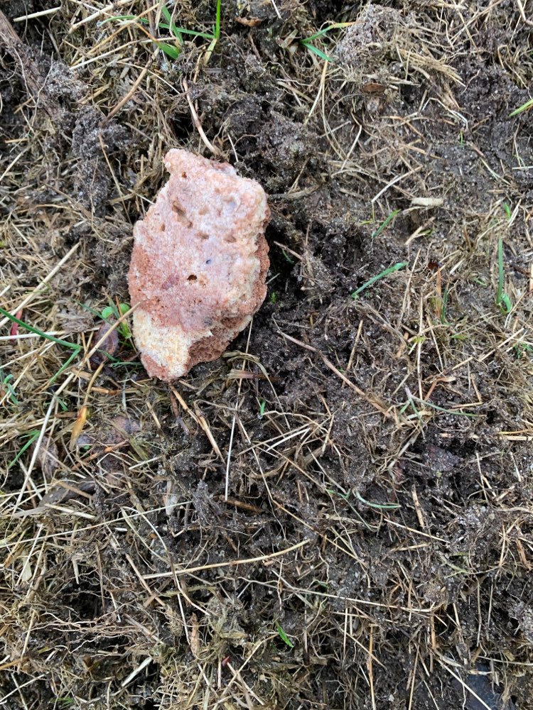 Giftköder-Giftköder-Profilbild