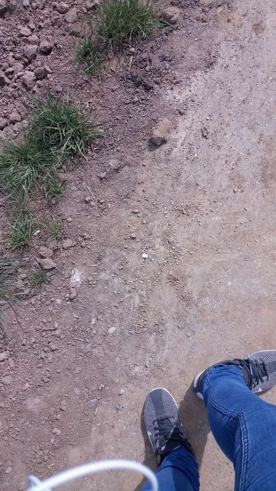 Giftköder-Giftiges Pflanzenschutzmittel-Profilbild